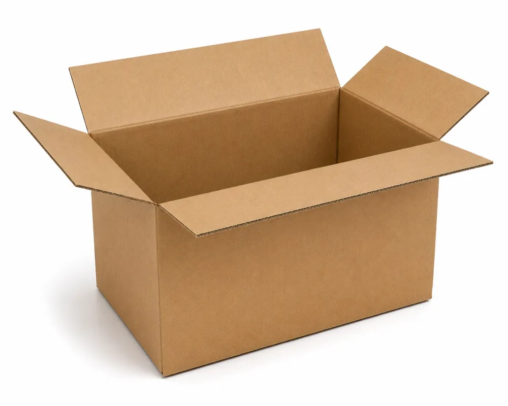 Regular Slotted Containers (RSC) manufactured by Asian Packaging Industries, Vapi